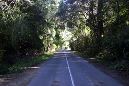 Groot River Pass Nature's Valley